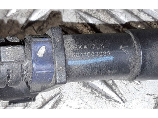 Жиклер (жиклеры) (форсунка (форсунки) deka71   Citroen C5      