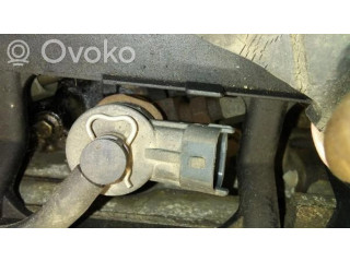 Форсунка 0445110075, 9641496180    Citroen C3 для дизельного двигателя  1.4