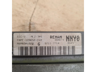 Блок управления F6PF12A650CGA, R6MA301B28   Ford Taurus