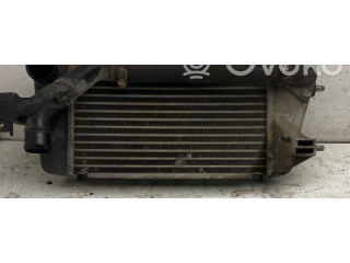 Интеркулер     Suzuki Swift 