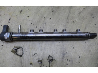 Vstřikovací lišta 851416601   Mini Cooper Countryman R60     