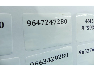 Vstřikovač 9647247280, IMPRK1306379   Peugeot 407     