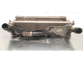 Интеркулер  144614JA0B   Nissan NP300 