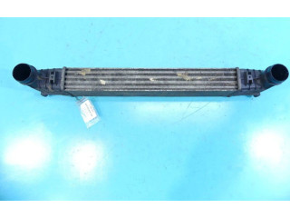 Интеркулер  132002748A, IMPRK1168537   Volkswagen Sharan 