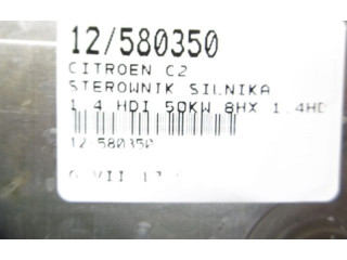 Řídící jednotka 9658556880, 9658556880   Alpine C2 2005