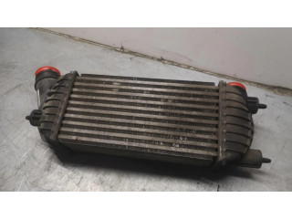 Интеркулер  1440094280   Fiat Scudo 