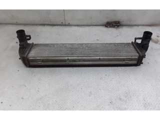 Радиатор интеркулера 8200301883A   Renault Vel Satis      