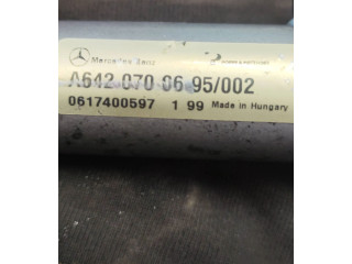 Vstřikovací lišta A6420700695, 0617400597   Mercedes-Benz ML W164    OM 642.940 