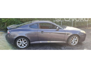 Комплект блоков управления 5WY1A13C, 39101-23890   Hyundai Coupe