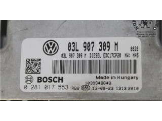 Řídící jednotka 0281017553, 03L907309M   Volkswagen Transporter - Caravelle T5 2014