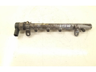 Vstřikovací lišta 6420700495, 6110780449   Mercedes-Benz GL X164    OM 642.940 