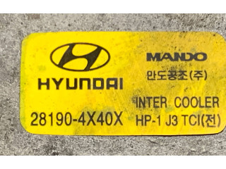 Přístrojová deska  Hyundai Terracan 2004 281904X40X, 281904X400  