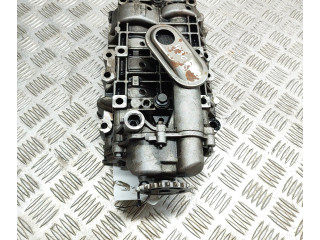Čerpadlo oleje 9636898380, 9636898580   Land Rover Range Rover Evoque L538   224DT