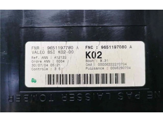   Pojistková skříňka BSIK0200, 9651197080   Peugeot 307 2005