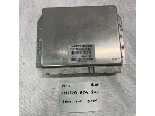 Řídící jednotka 2205450532, 308886   Mercedes-Benz E W211 2003
