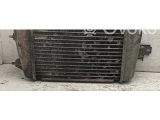 Интеркулер     Suzuki Swift 