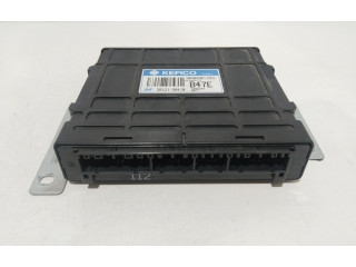 Řídící jednotka 3912138410   Hyundai Santa Fe 2003