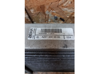 Интеркулер  A2515000000, 2515000000   Mercedes-Benz R W251 3.0