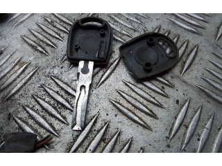 Řídící jednotka 038906013AN, 0281010007   Volkswagen Caddy 2002