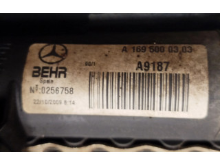 Zámek zadních dveří 1137328294, a1695000303   Mercedes-Benz A W169 2009