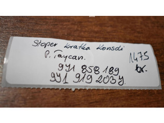 Píst    Porsche Taycan 9J1     