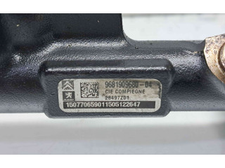 Vstřikovací lišta 9681909680   Peugeot 3008 I     