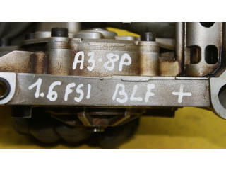 Čerpadlo oleje    Audi A3 S3 8P   