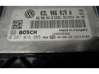 Řídící jednotka 03L906019A, 0281016365   Seat Exeo (3R) 2009
