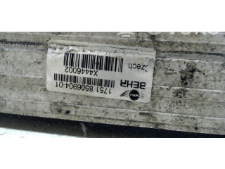 Интеркулер  1751850690401   Mini Paceman (R61) 