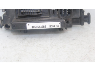 Zpětné zrcátko  Peugeot 406   9650664080  