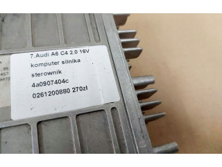 Řídící jednotka    Audi A6 S6 C4 4A 