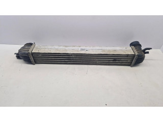 Интеркулер  1751850690402, X4446002   Mini Cooper Countryman R60 1.6