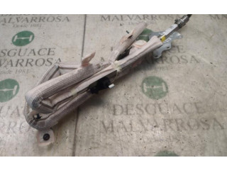 Подушка безопасности двери 3R5880741, 3R5880741   Seat Exeo (3R)