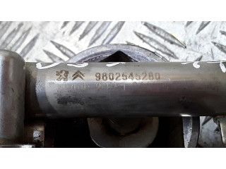 Vstřikovací lišta 9802545280   Citroen DS3     