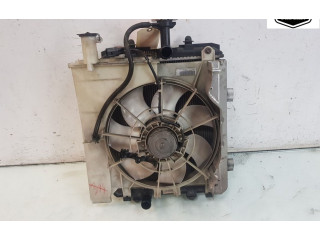 Комплект радиатора 1253G9   Peugeot 107 2007
