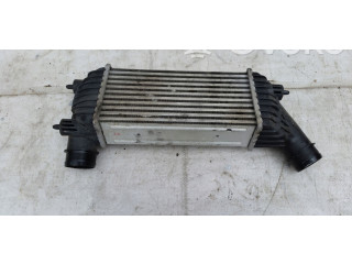 Интеркулер  898633   Fiat Scudo 