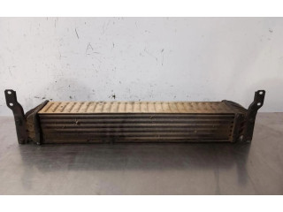 Интеркулер     Ford Galaxy 