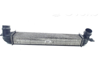 Интеркулер  1751850690401   Mini Paceman (R61) 