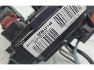 Pojistková skříňka Řídící jednotka BSM 9661682580, BSML0100   Peugeot 407 2005