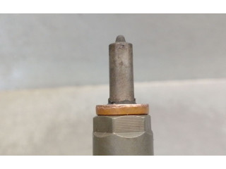 Vstřikovač 166008943R, 166008943R   Renault Espace -  Grand espace IV    M9R 760,M9R 761,M9R 762,M9R 763, 