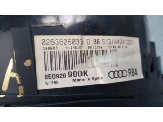 Přístrojová deska  Audi A4 Allroad 2003 8E0920900K  