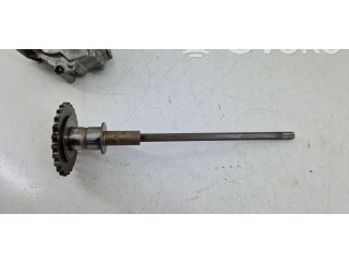 Čerpadlo oleje 059115105BK, 059115105BL   Audi A6 S6 C6 4F   CAN
