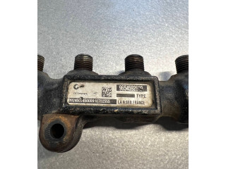 Vstřikovací lišta 9654592680, 9654592680   Ford Fiesta     