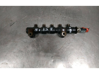 Топливная рампа 9654592680   Peugeot 207   для двигателя 8HZ