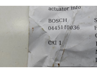 Vstřikovač 0445110036   Peugeot 607    4HX 