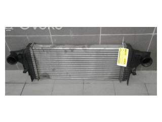 Интеркулер     Mercedes-Benz ML W164 4.2