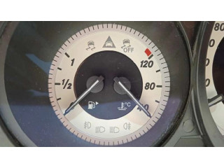 Přístrojová deska  Mercedes-Benz CLS AMG C219 2011 A2189007302, 2189007302  