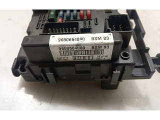 Zpětné zrcátko  Peugeot 406   9650664080  