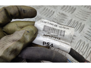 Řídící jednotka 9807532080, 9811545080   Peugeot 208 2016
