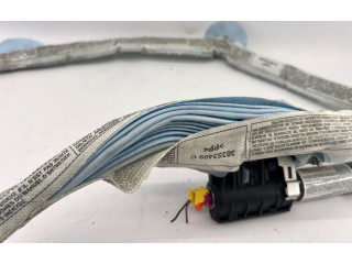 Боковая подушка безопасности 4F9880742A, 30359398B   Audi A6 S6 C6 4F